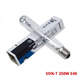 Bóng GT HML250w Bitex