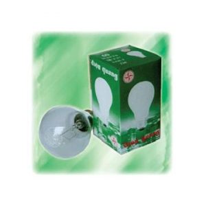 Bóng sợi đốt 200W - Phương Đông